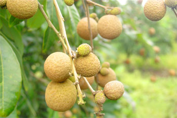 ����Դ����֮��