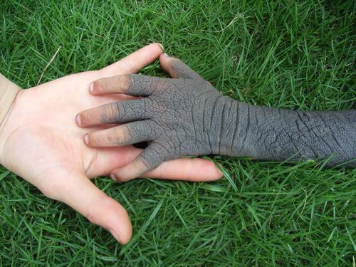 �к�Ƥ���񡰰ߵ㹷��