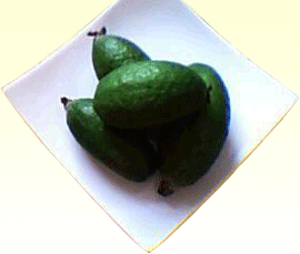 ����ɼ������֢״