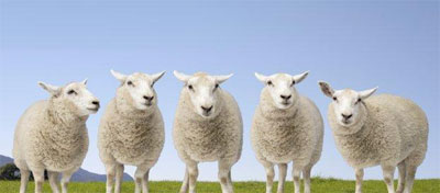 ʧ����������ҩ������