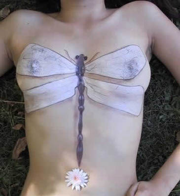 ����ʻ�����ƪ