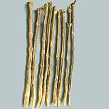 Chinese Tamarisk Twig
