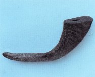 Buffalo Horn