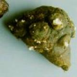 Prepared Aconite Root