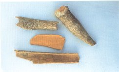 Chinese Cassia Bark