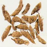 Nutgrass Flatsedge Rhizome