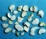 Zhejiang Fritillary Bulb