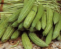 Bitter Gourd