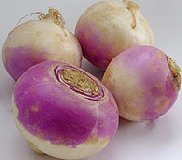 Turnip