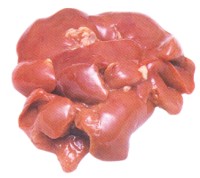 Chicken Liver