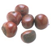 Chestnut