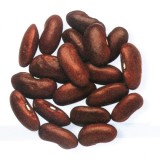 Kidney Bean