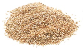 Sesame Seed