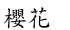 Cherry Flower