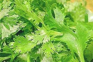 七种“香”菜果助你消疲倦