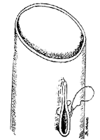 �������������Ƿ����о����ؽ�?