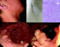 �෢Ƥ׸����ʹ����к