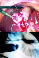 ��ǻ�������г������е��ҹܱ�Ǽ���