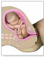 ����������©���������ڷ�ͷ��¶