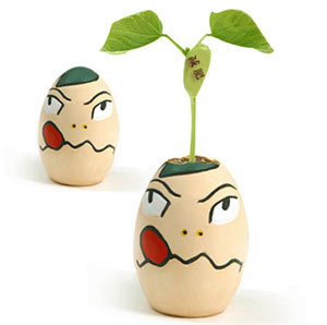 �ֽ�֬��9����Ȼʳ��