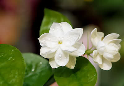 ʳ����ʱ�У��ԡ���͡�