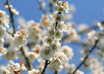 ʳ����ʱ�У��ԡ���͡�