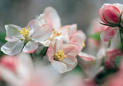 ʳ����ʱ�У��ԡ���͡�