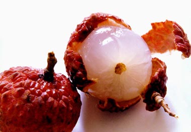 ����ʳ�ﲻҪ�Ž�����