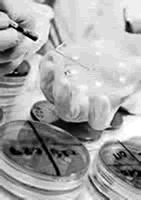 ����ƫ�β�����Ⱦ���ݺ���