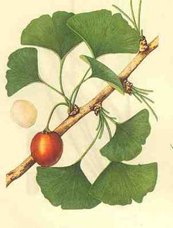 ��Щ�߹�ǧ��Ҫ��Ƥ��