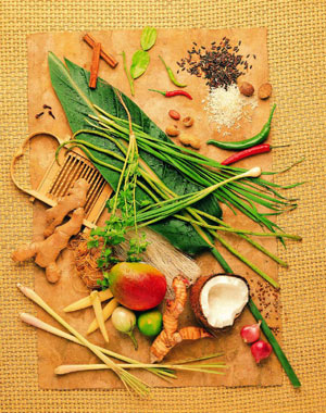 ʮһ���ڡ�ʳʮ����