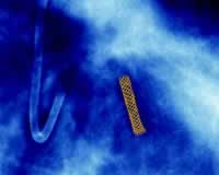 �ϸ�������Ӧ֤ ����DES��������������һ���ڽ��DES��ȫ�����ͷ����о����