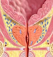 ������λϵͳȷ��ǰ���ٰ������еķ�ʸ