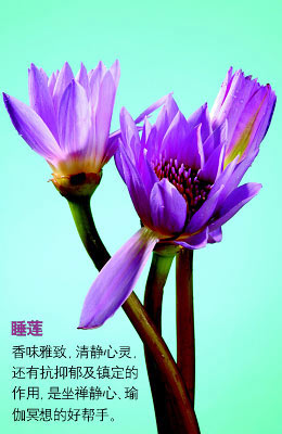 ��������ζ����˯��