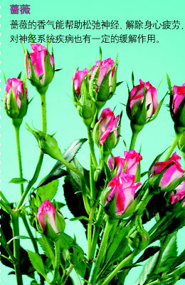 ��������ζ����˯��