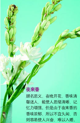 ��������ζ����˯��