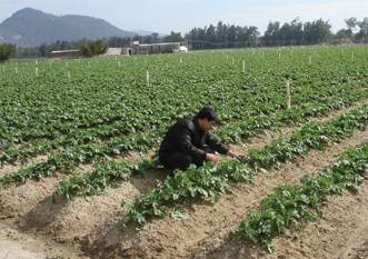 ��ɽ�߲���Ʈ����                     