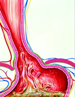 θʳ�ܷ������߹�����