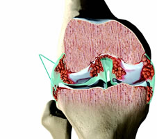 2006���ʪ��ѧ��չ�ع�