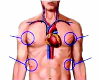 ΢�����ڿ��ط����������������