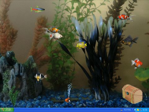 
	
   	��������:"��������"!  [ԭ��]