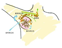 ���ٰ�ǰ���ܰͽ��о���״������