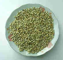 
	
   	 �������Ҳ��ҩ(��ͼ)  