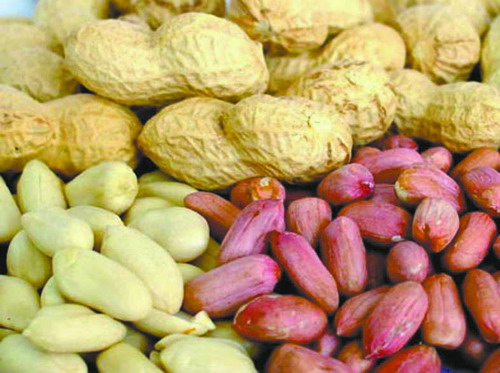 
	
   	�����ѧ���� �Կ����� 