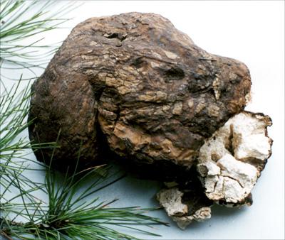 
	
   	��ʮ�ĵ���¥���еĲ�