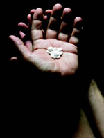 ��ҩ�ﲻ����Ӧ����������