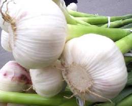  
��Ѫ֬���߿ɳ��Գ��⽵֬
