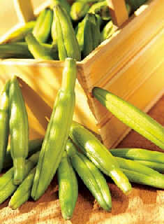  
��Իƻ��˿ɷ�����˥��
