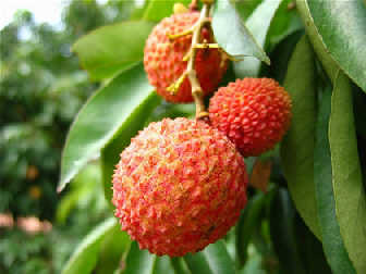  �ļ�����������Ŷ�����