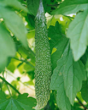  ��Ͽ������� �и�Ҫ�ٳ�